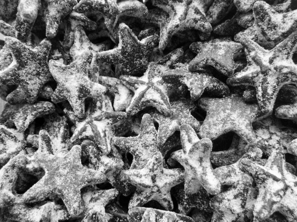 MALACO salzige Seesterne - supersalta Sjöstjärnor 100g