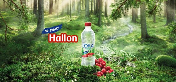 LOKA Hallon - Wasser mit Himbeergeschmack 0,5l