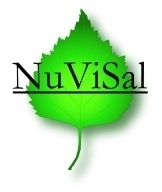 NuViSal Birken Händedesinfektionsmittel, 150ml Sprühflasche