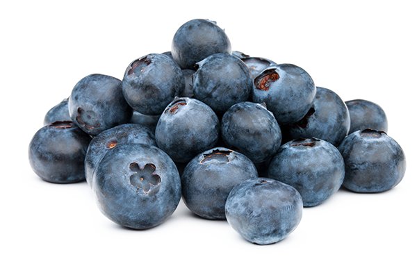 Blåtand Blaubeerfruchtaufstrich 60% Frucht, 2kg Eimer